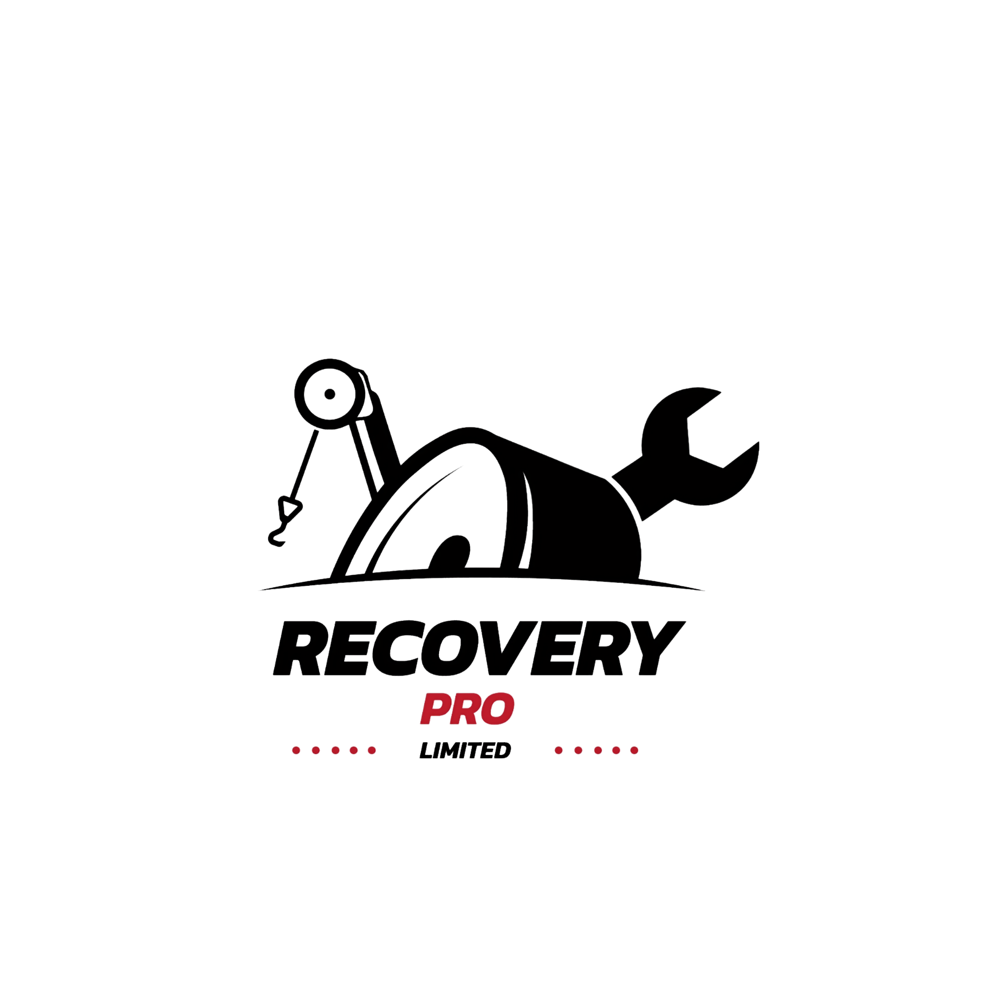 Recovery Pro